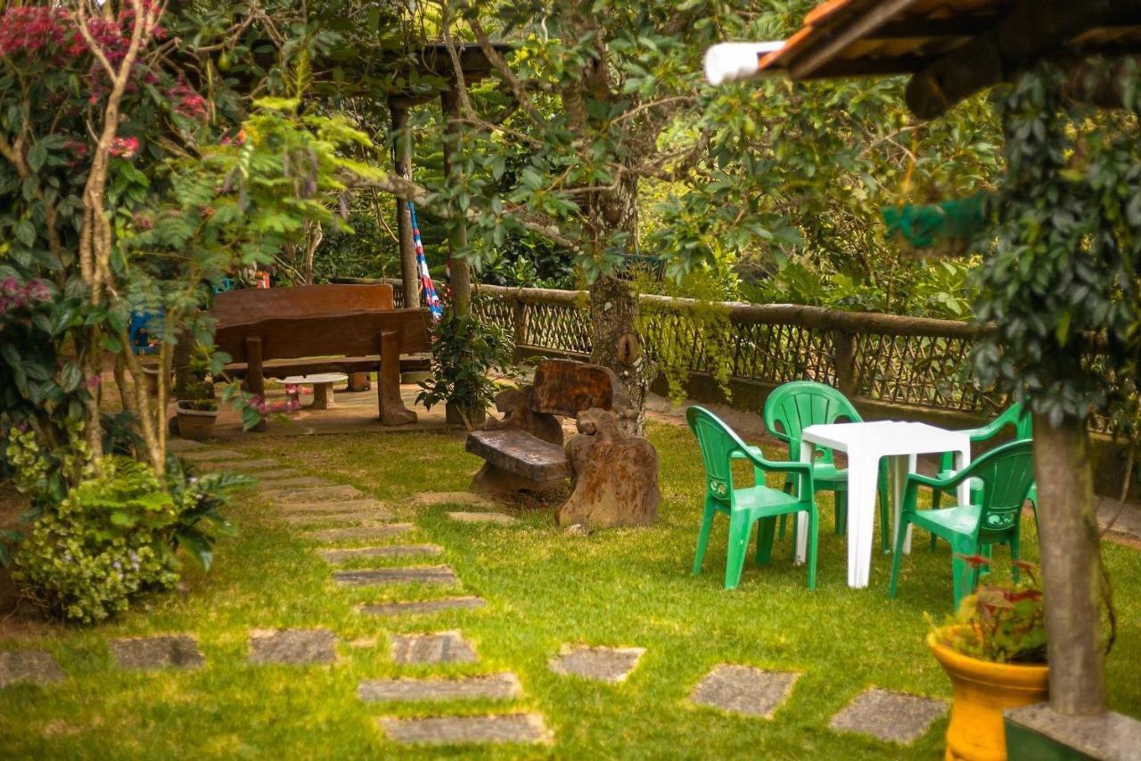 Saíra Recanto De Serra Mulungu (Ceara)