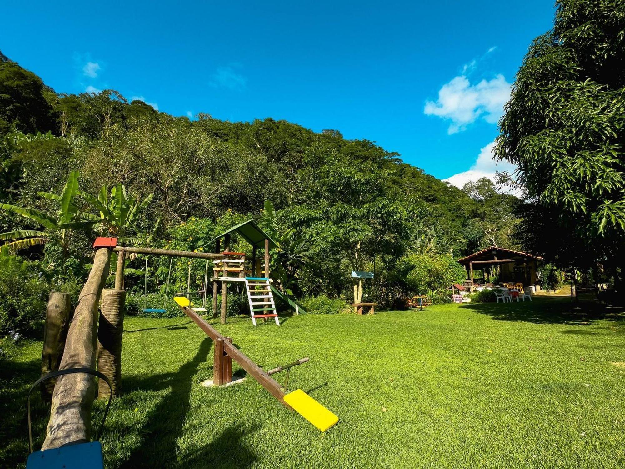 Saíra Recanto De Serra Mulungu (Ceara)