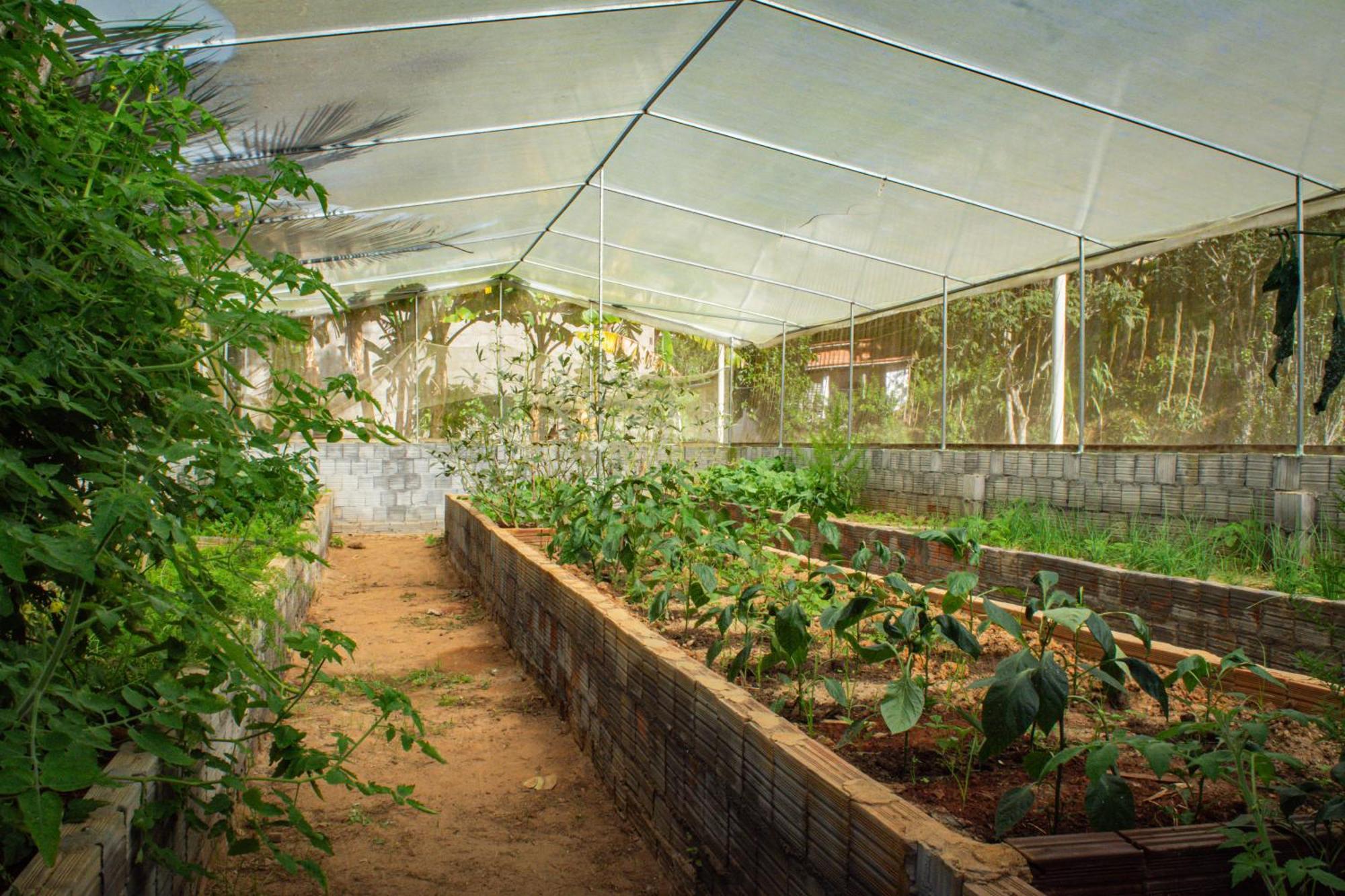 Casa de hóspedes Saíra Recanto De Serra