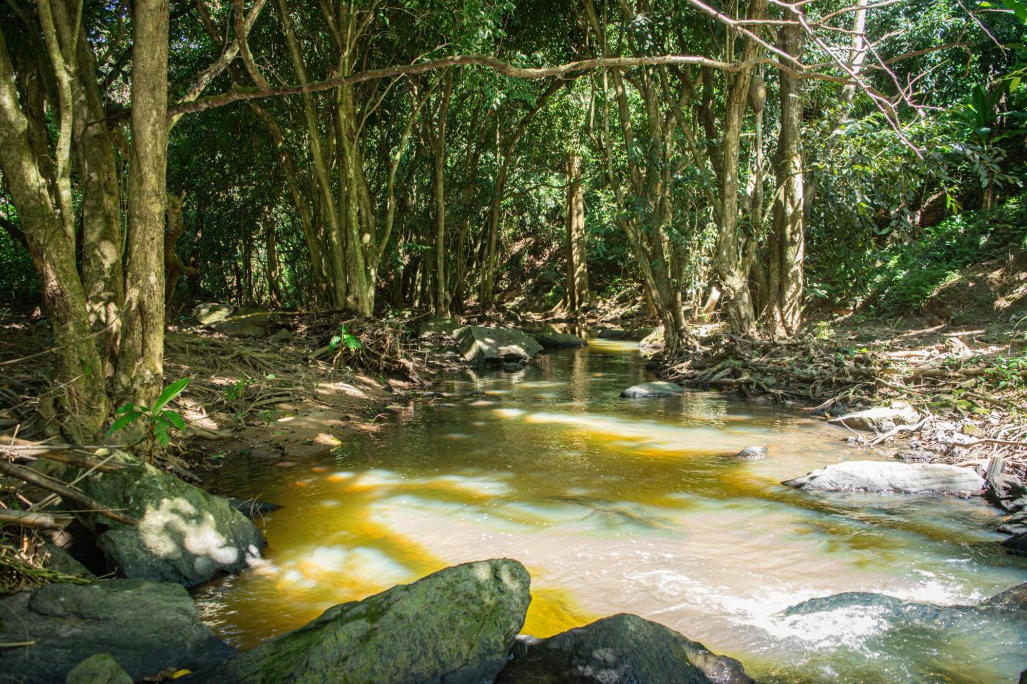 Casa de hóspedes Saíra Recanto De Serra Mulungu (Ceara)